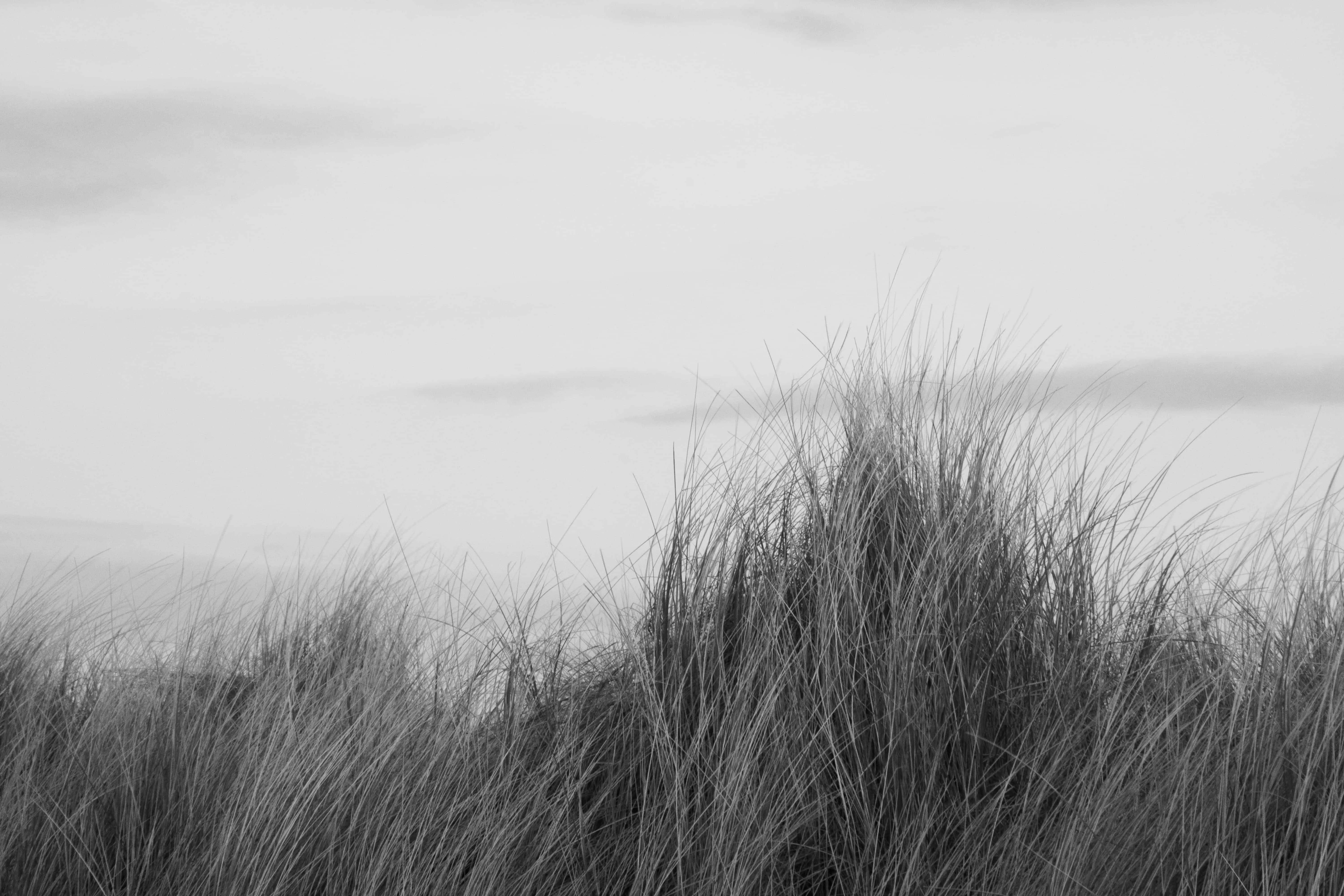 Landscapes 7